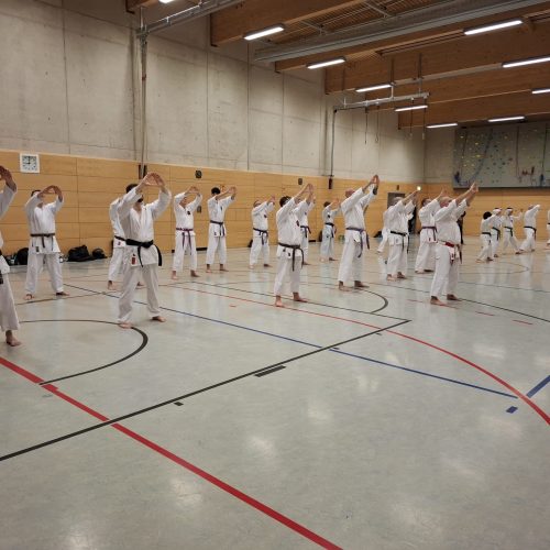 3c0c9e3e-b1e6-428a-9933-e944421d89d1